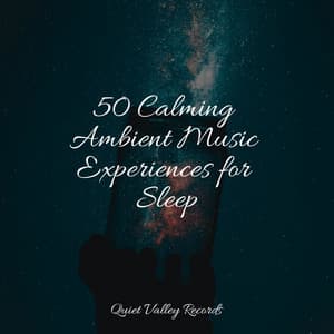 50 Calming Ambient Music Experiences for Sleep - Loopable Rain Sounds