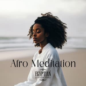 Afro Introspection - Nikitovich
