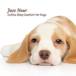 Jazz Hour: Coffee Shop Comfort for Dogs - Cafe Jazz Trio Japan