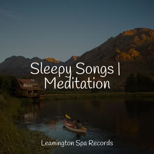 Sleepy Songs | Meditation - Relaxation Sleep Meditation
