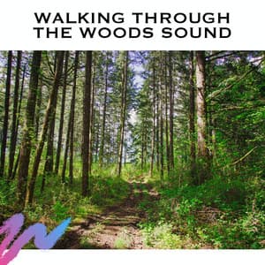 Walking Through The Woods Sound - ASMR Earth