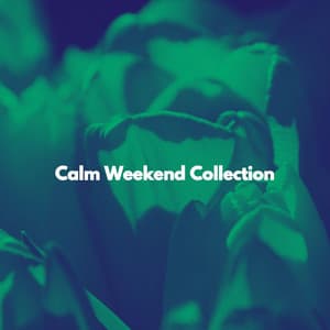 Calm Weekend Collection - Relaxing Coffee Shop