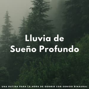 Lluvia De Sueño Profundo: Una Rutina Para La Hora De Dormir Con Sonido Binaural - Sueño binaural Delta Beats