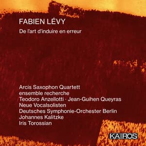 Fabien Lévy: De l'art d'induire en erreur - Fabien Lévy