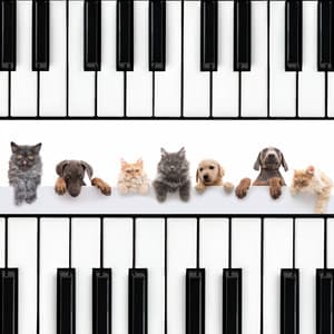 Harmony in Pet's Heart: Reflective Piano Connection - Peaceful Piano Jazz