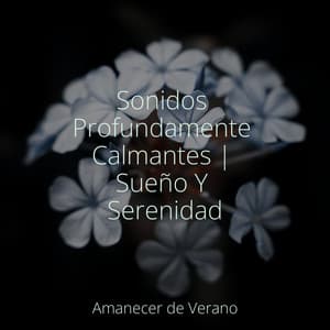 Sonidos Profundamente Calmantes | Sueño Y Serenidad - Música relajante con sonidos de la naturaleza