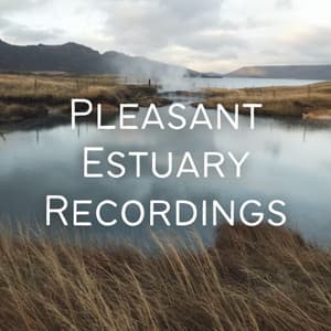 Pleasant Estuary Recordings - Yoga Music Playlist