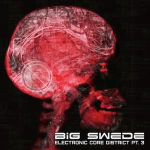 Electronic Core District, Pt.3 - Big Swede