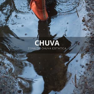 Chuva: Zona De Chuva Estática - Paz Nirvana