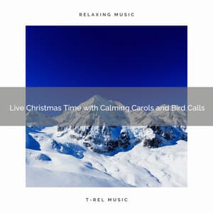 Live Christmas Time with Calming Carols and Bird Calls - The Outdoor Library