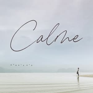 Calme: Belle musique d'ambiance pour la détente et le sommeil - Musique Relaxante 101