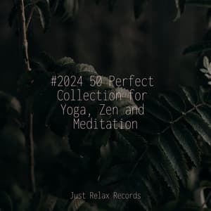 #2024 50 Perfect Collection for Yoga, Zen and Meditation - Guided Meditation