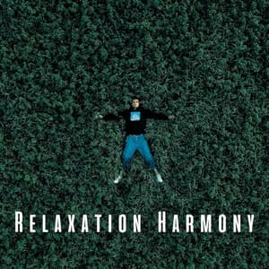 Relaxation Harmony: Chill Music for Peaceful Moments - Romantic Sex Music