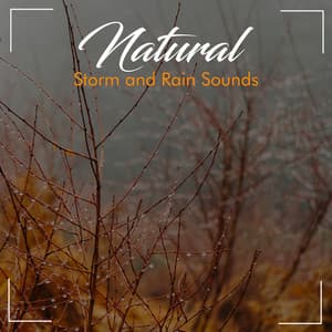 19 Sounds of Rain and Thunder with Lightening Storms - Sounds Of Rain & Thunder Storms