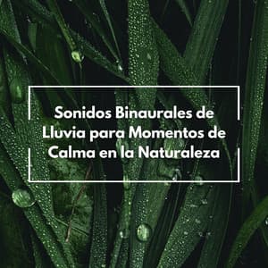Sonidos Binaurales De Lluvia Para Momentos De Calma En La Naturaleza - Sonidos de Lluvia para Relajarse