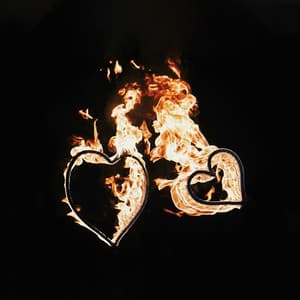 Wildfire Love - Nova Sutra