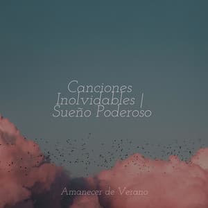 Canciones Inolvidables | Sueño Poderoso - Meditación
