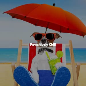 Pawsitively Chill - Hotel Jazz Deluxe
