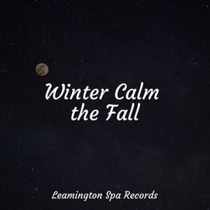 Winter Calm the Fall - Sonido de lluvia