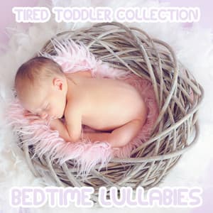 2018 A Tired Toddler Collection: Bedtime Lullabies - Lullaby Babies