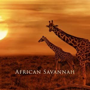 African Savannah: Slow Stress-Busting Meditation Music for Bliss and Tranquility, African Lullabies - Shaman Oyunaa