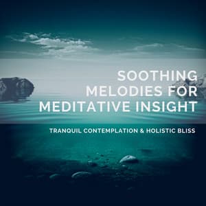Soothing Melodies for Meditative Insight, Tranquil Contemplation & Holistic Bliss - Quarantine Meditation