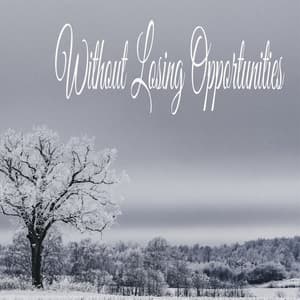 Without Losing Opportunities - Sleeping Music