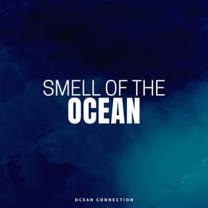 Smell of the Ocean - Ocean Sounds Plus