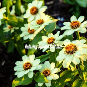 Relaxing Smooth Soft Jazz - Coffee House Jazz Playlist