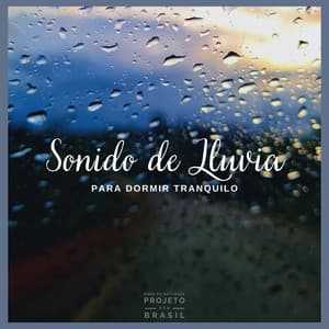 Sonido de Lluvia Para Dormir Tranquilo - Para Dormir