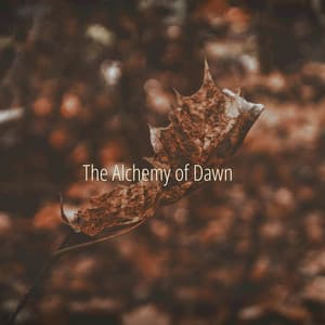 The Alchemy of Dawn - Oceara