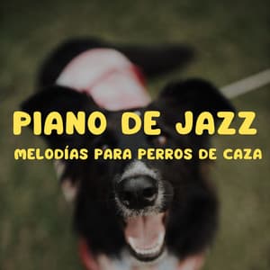 Piano De Jazz: Melodías Para Perros De Caza - Piano de salón suave