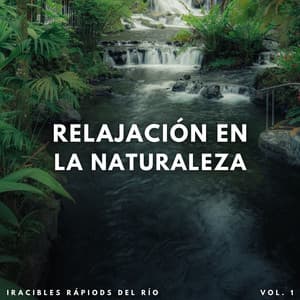 Relajación En La Naturaleza: Iracibles Rápiods Del Río Vol. 1 - Agua de olas tranquilas