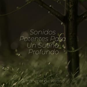 Sonidos Potentes Para Un Sueño Profundo - Canciones Infantiles de Niños