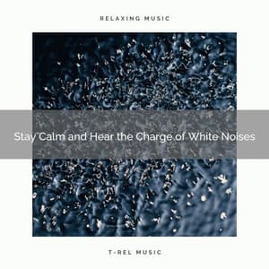 Stay Calm and Hear the Charge of White Noises - Zen Mindwaves