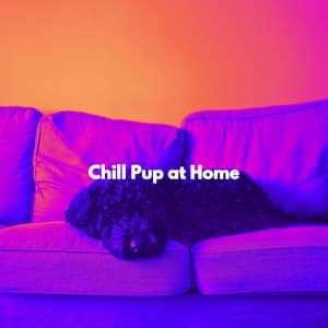 Chill Pup at Home - Chill Lounge Music