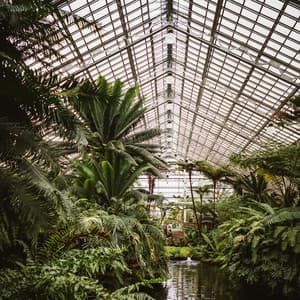 Winter Tracks for Yoga, Zen and Meditation - The Sleep Specialist