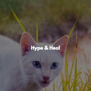 Hype & Heal - Caffè Vintage
