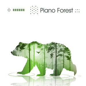 Piano Forest - Korean Piano Music