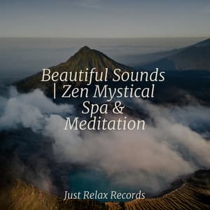 Beautiful Sounds | Zen Mystical Spa & Meditation - Musica para Meditar