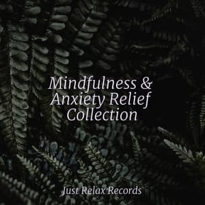 Mindfulness & Anxiety Relief Collection - Powerthoughts Meditation Club