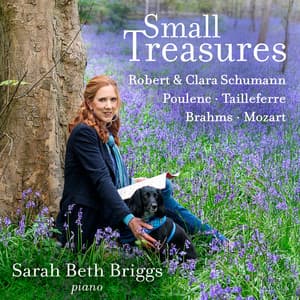 Small Treasures - Sarah Beth Briggs