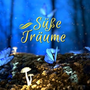 Süße Träume: Leise Klaviermusik zum Süß Einschlafen und Klar Träumen - Meister der Schlaflieder