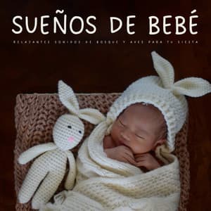 Sueños De Bebé: Relajantes Sonidos De Bosque y Aves Para Tu Siesta - Pájaros del Bosque