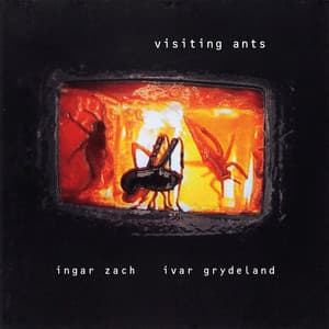 Visiting Ants - Ingar Zach