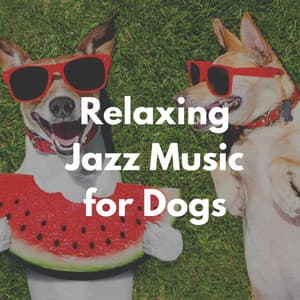 Relaxing Jazz Music for Dogs - Relaxing Pet Music