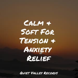 Calm & Soft For Tension & Anxiety Relief - Zarobi