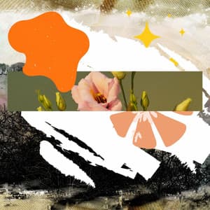 Friendly Music for Chilled Classics - Jazz Guitar Solo - Focus and Work