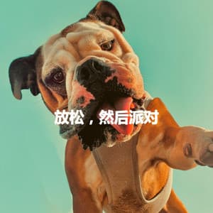 放松，然后派对 - Französische Cafe Musik