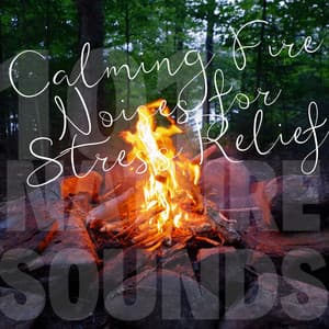 Calming Fire Noises for Stress Relief - 101 Nature Sounds